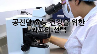 ✨ 공진단 효능: 건강을 위한 최고의 선택 ✨