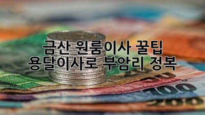 금산 원룸이사 꿀팁🍯: 용달이사로 부암리 정복!🚚